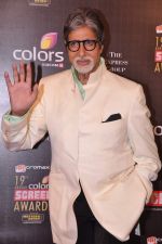 Amitabh Bachchan at Screen Awards red carpet in Mumbai on 12th Jan 2013 (453).JPG
